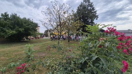 Dnevi poezije in vina v Dornavi (9)